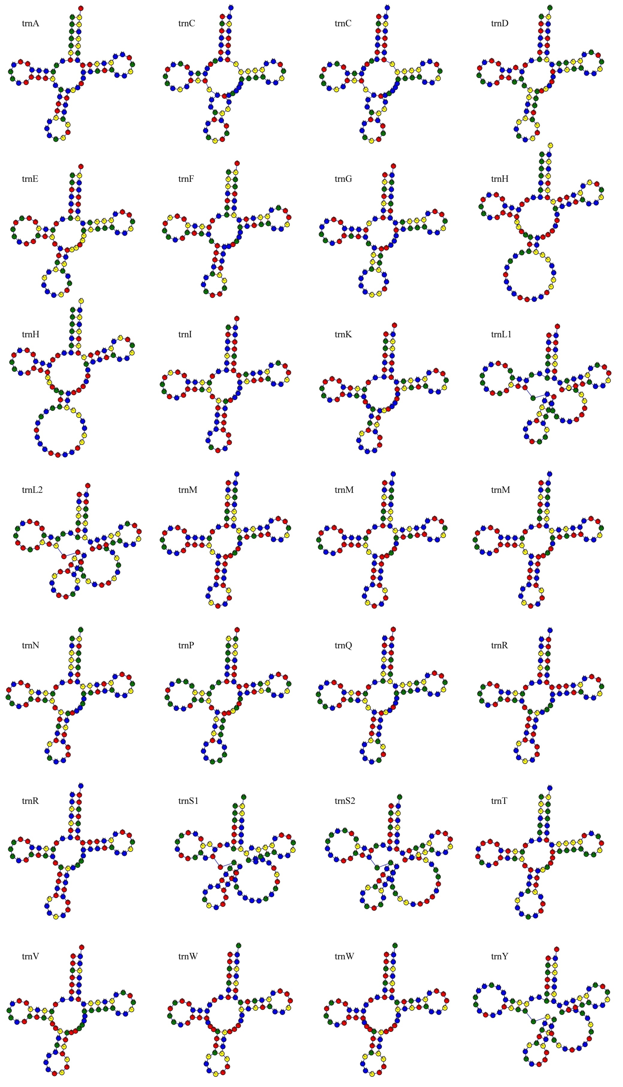 Figure 28